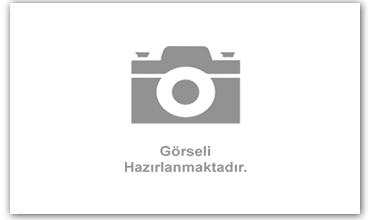 güvenlik alarm sistemleri